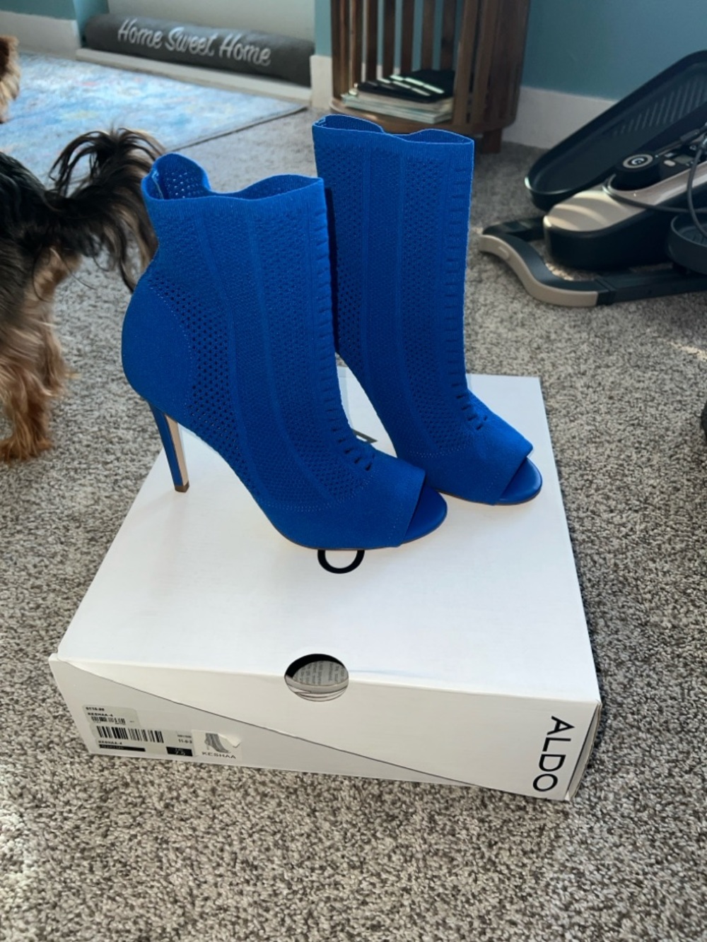 ALDO Royal Blue Knit Peep-Toe Stiletto Booties